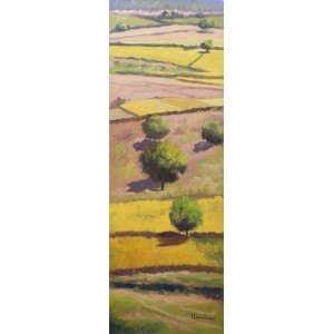 Tahir Bilal Ummi, 12 x 36 Inch, Oil on Canvas, Landscape Painting, AC-TBL-007